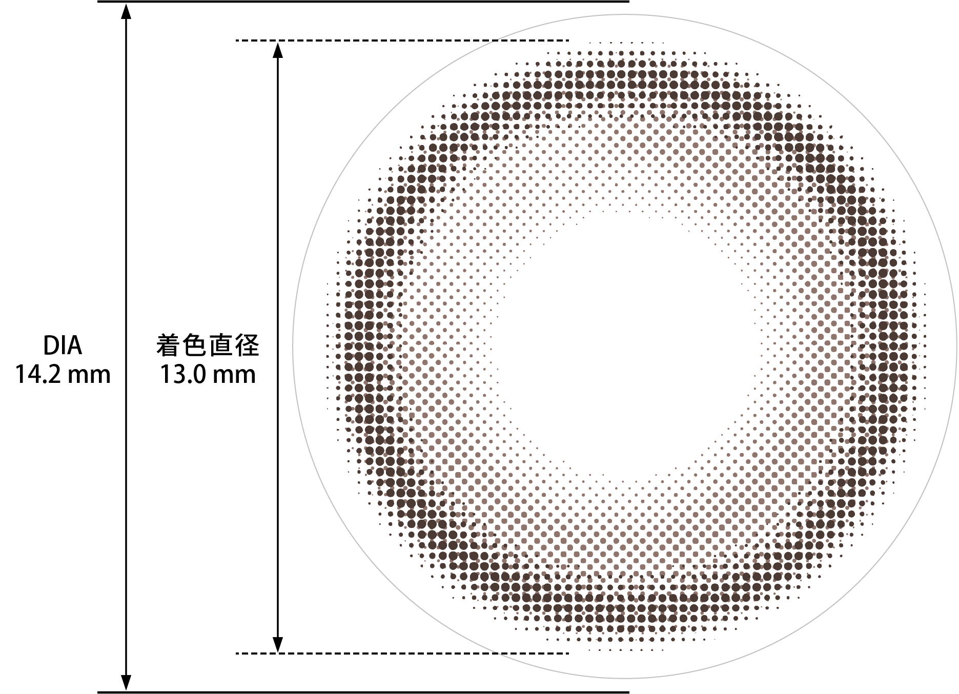 レンズデザイン DIA14.2mm 着色直径13.0mm