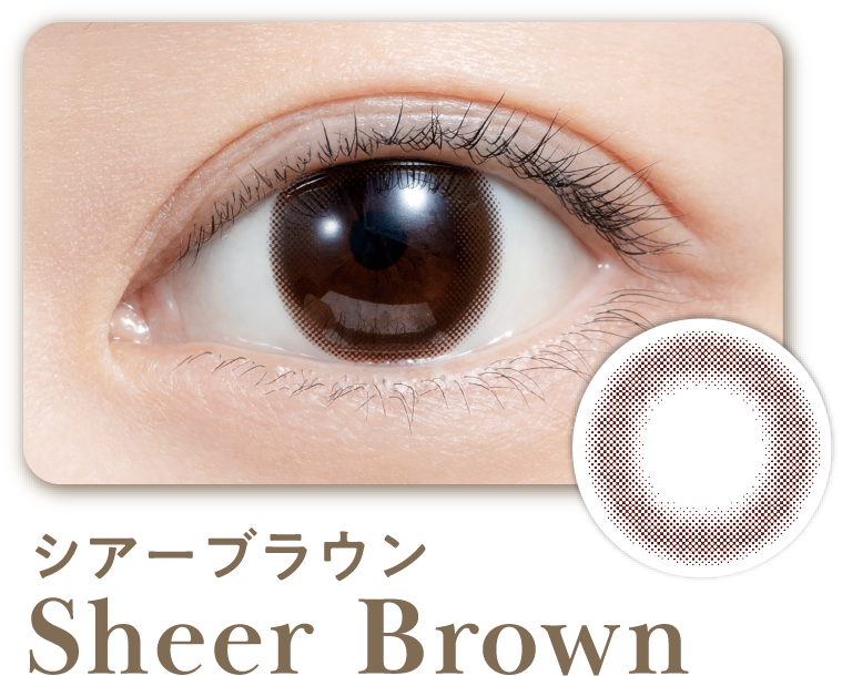 シアーブラウン Sheer Brown