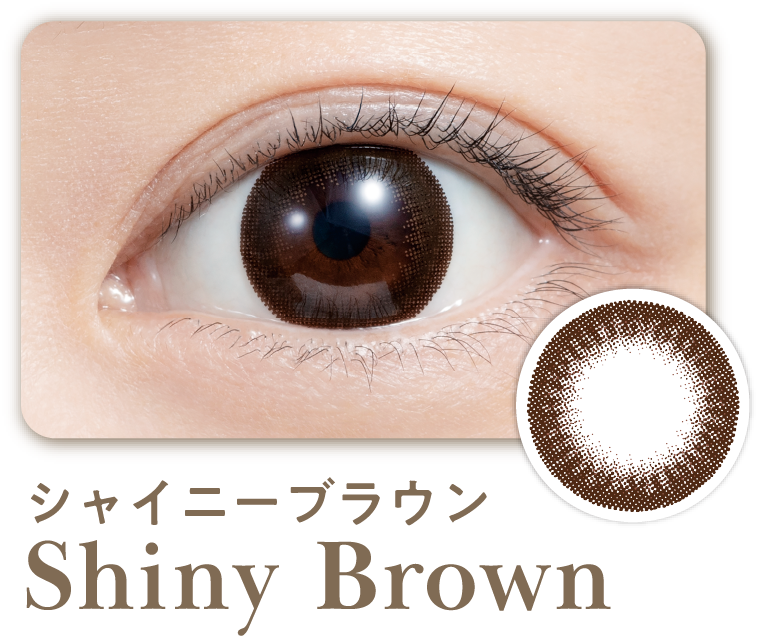 シャイニーブラウン Shiny Brown