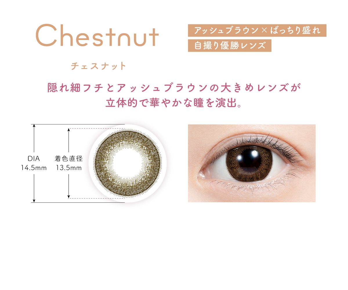 Chestnut(チェスナット)