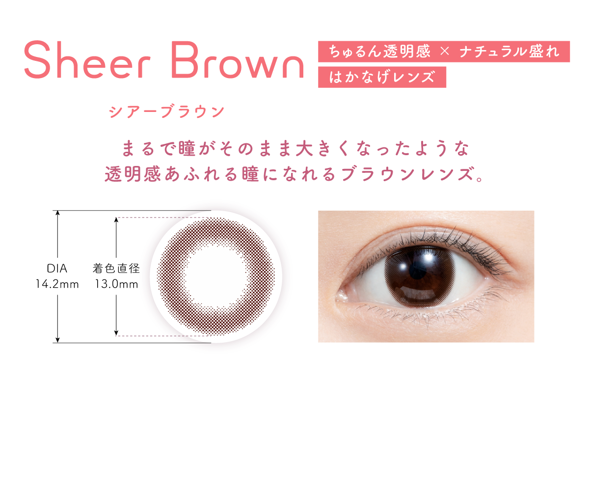 Sheer Brown(シアーブラウン)