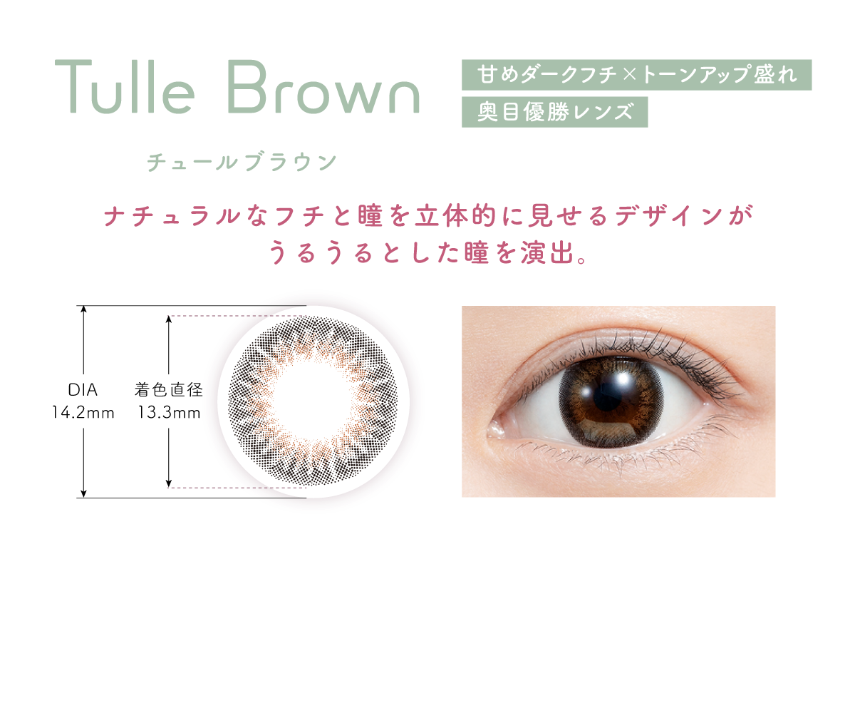 Tulle_Brown(チュールブラウン)
