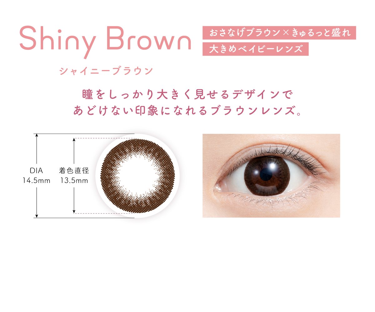 Shiny Brown(シャイニーブラウン)